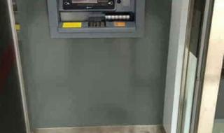 疯狂猜成语豹子和人 疯狂猜成语豹子和人